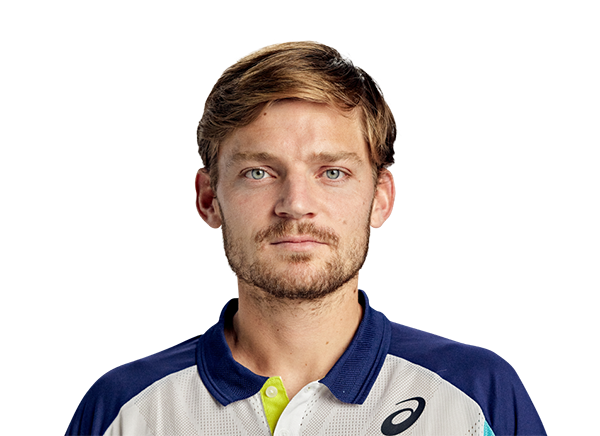 David Goffin posters